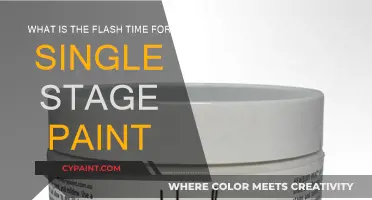 The Ideal Flash Time for Single-Stage Paint Jobs