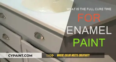 The Ultimate Enamel Paint Cure Time Guide