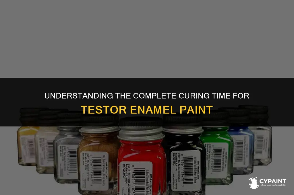 what is the full cure time for testor enamel paint