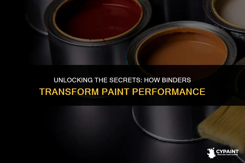 what is the function of a binder in a paint