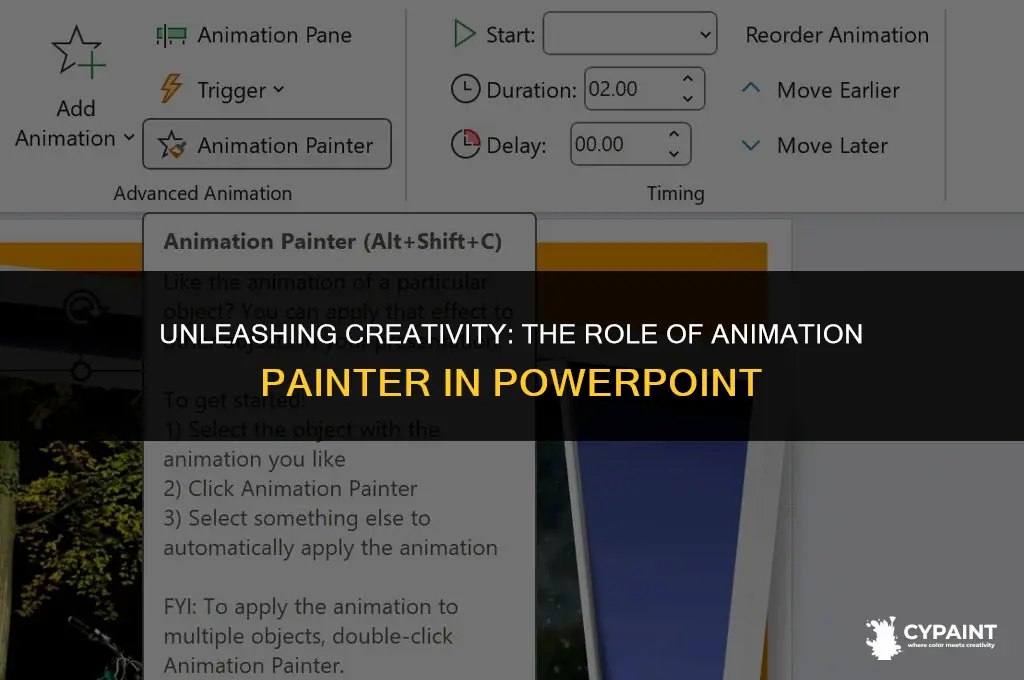 what is the function of animation painter in ms powerpoint