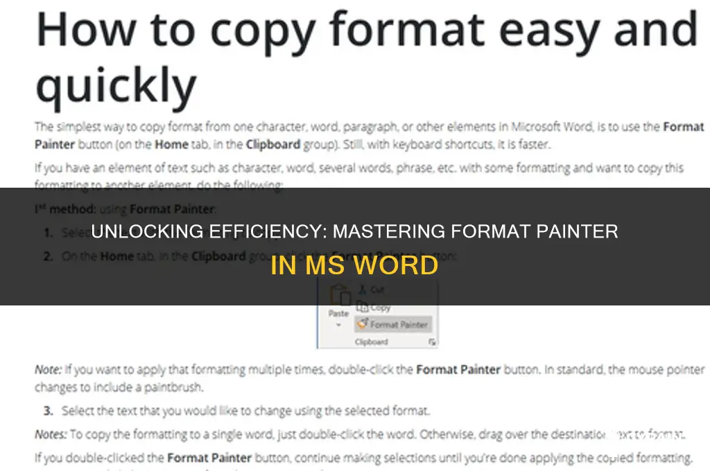 what is the function of format painter in ms word