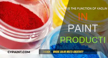 Kaolin's Role in Paint Production Explained