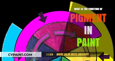 Understanding the Role of Pigment in Paint Functionality