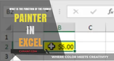 Mastering Excel: Unleash the Power of Format Painter