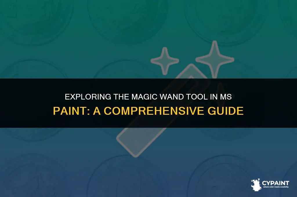 what is the function of this tool in ms paint