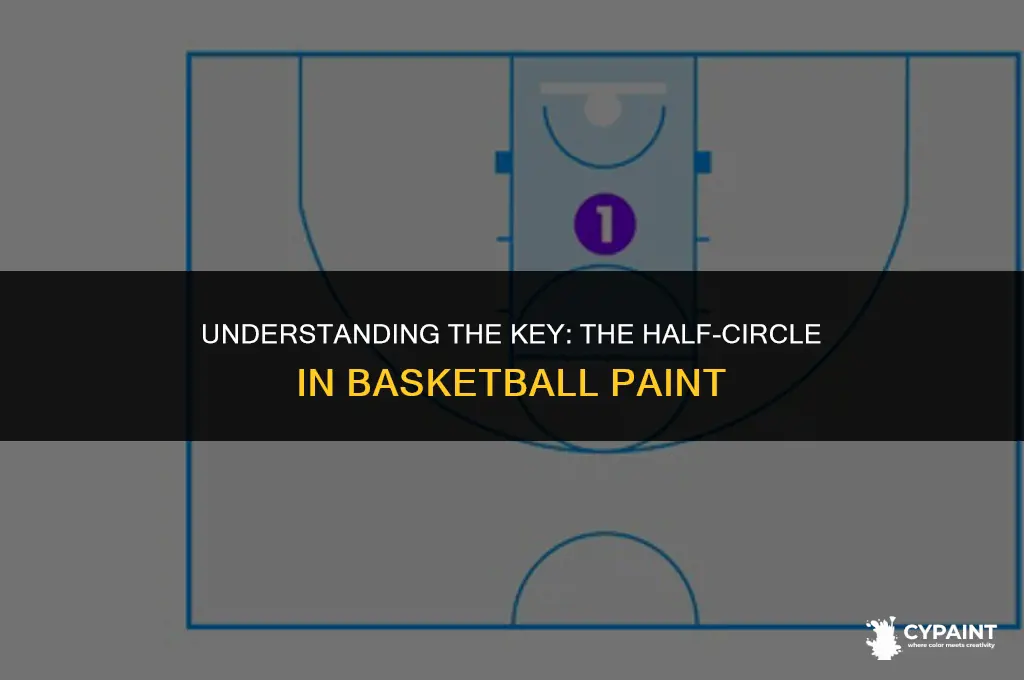 what is the half circle in the paint in basketball