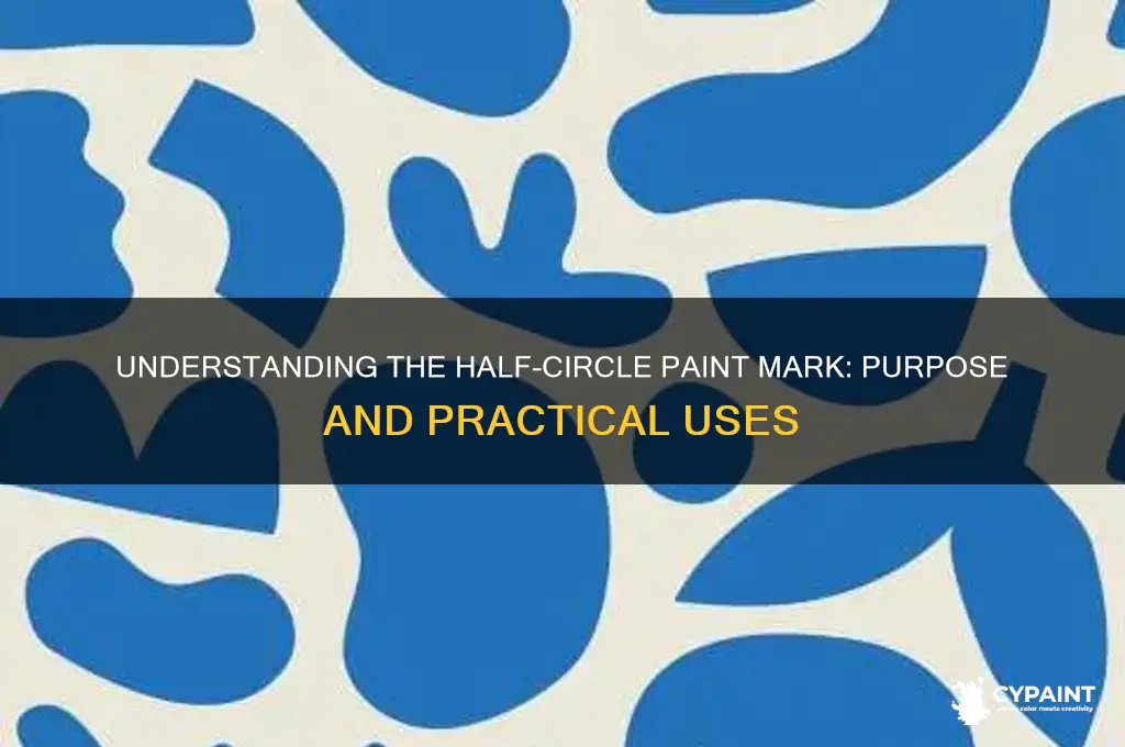 what is the half circle in the paint