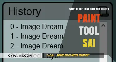 Mastering Efficiency: Essential Hand Tool Shortcuts in Paint Tool SAI