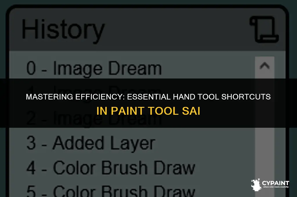 what is the hand tool shortcut i paint tool sai