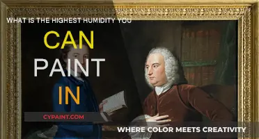 Humidity Levels: When is it Safe to Paint?