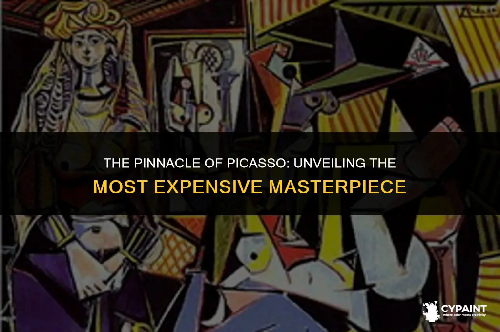 what is the highest price paid for a picasso painting
