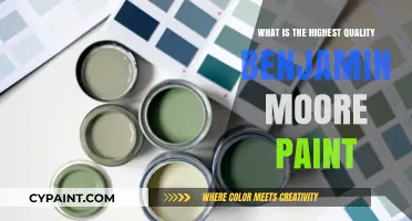 Discover the Best: Benjamin Moore's Highest Quality Paint Options