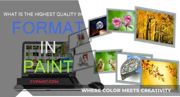 Best Image Format in Paint: Quality Preservation
