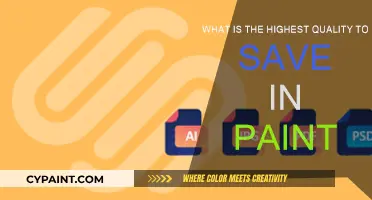 Best Settings for Saving High-Quality Images in Paint