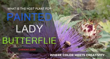 Painted Ladies' Favorite Plants: A Guide to Host Plants