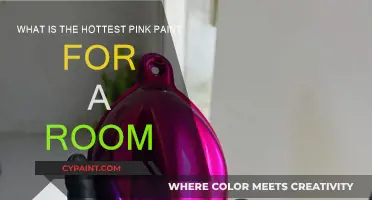 Vibrant Pink Paint Colors to Transform Your Room