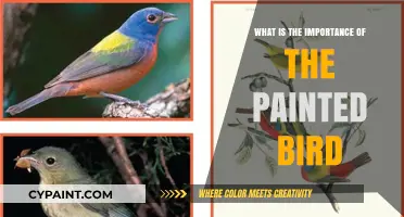 The Painted Bird: Unveiling Its Cultural and Symbolic Significance