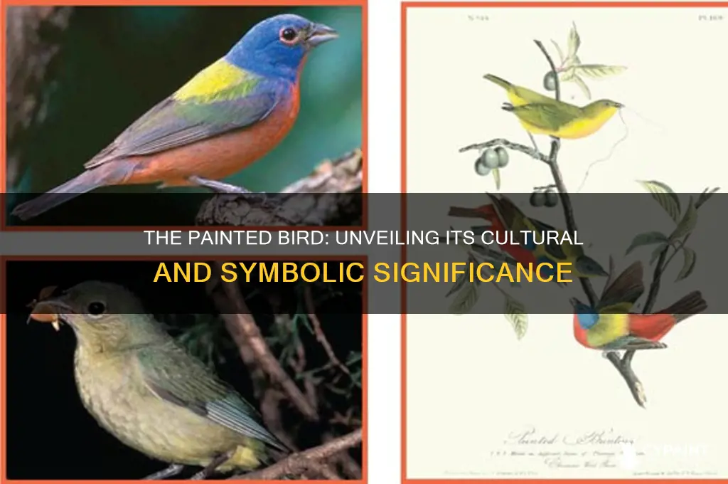 what is the importance of the painted bird