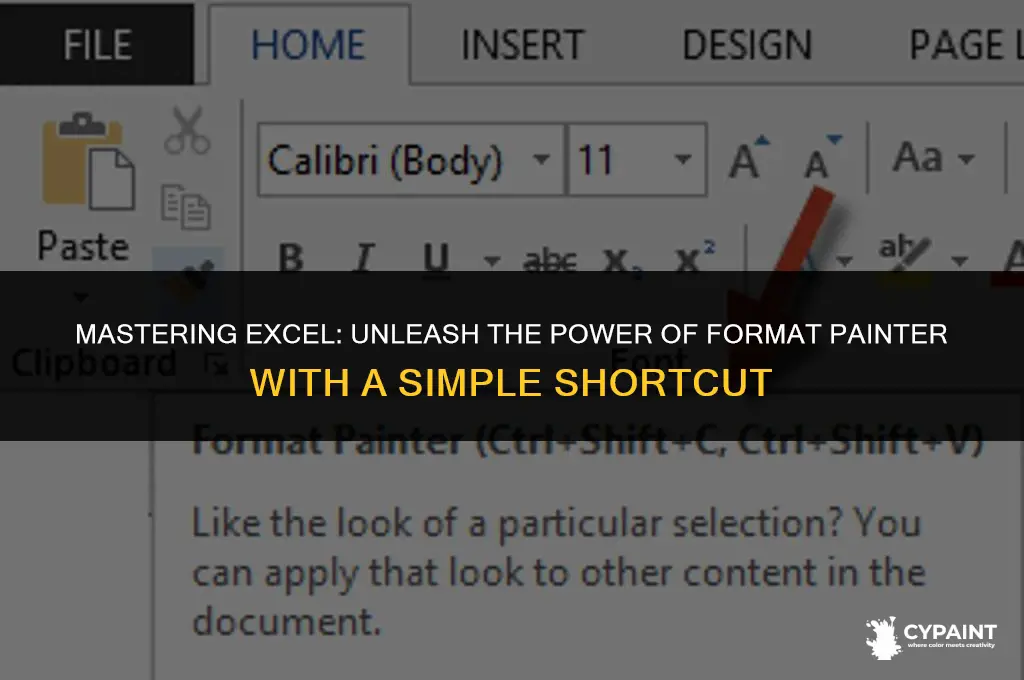 what is the keyboard shortcut for format painter in excel