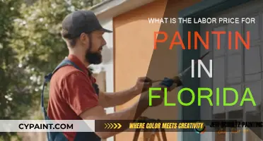 Florida Painting Labor Costs: How Much?