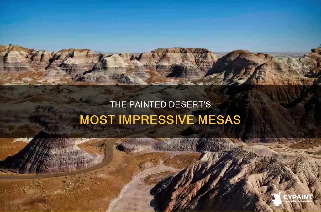 what is the largest mesas in the painted desert