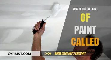 The Final Touch: Understanding the Last Coat of Paint