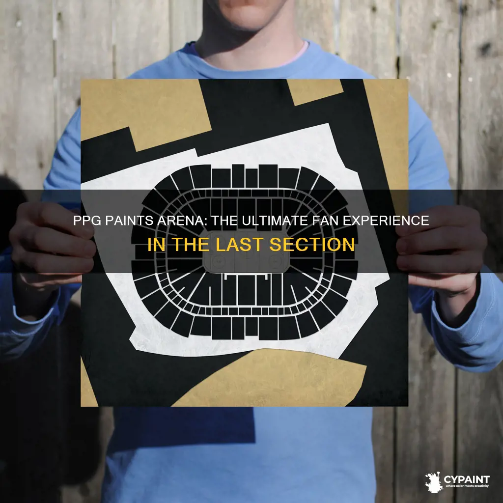 what is the last section in ppg paints arena