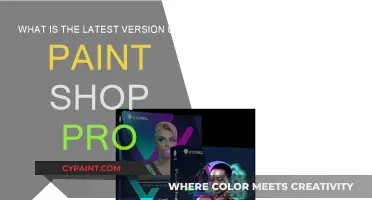 Latest Paint Shop Pro: What's New?