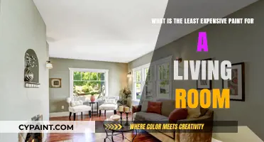 Budget-Friendly Living Room Makeover: The Most Affordable Paint Options