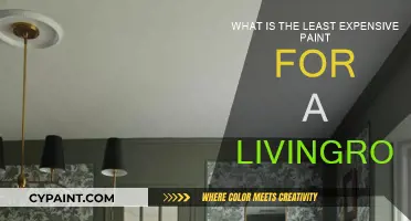 Affordable Living Room Paint Options