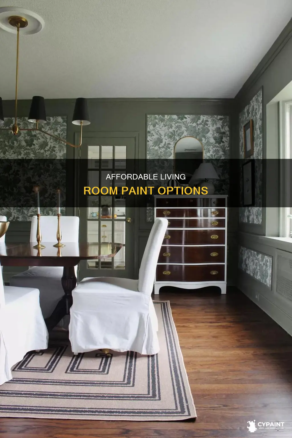 what is the least expensive paint for a livingroom