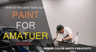 Best Eco-Friendly Car Paints for Amateurs