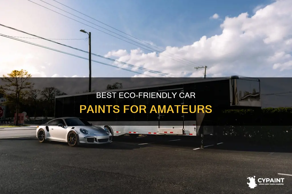 what is the least toxic auto paint for amatuer