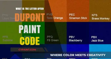 Understanding the Letter After DuPont Paint Code: A Comprehensive Guide