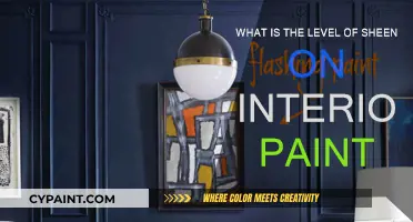 Interior Paint Sheen: Understanding the Different Levels of Shine