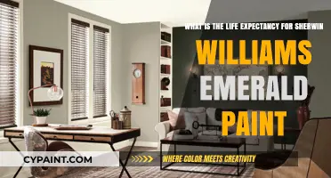 Unveiling Durability: Sherwin-Williams Emerald Paint's Lifespan Explored