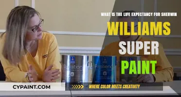 Unveiling Durability: Sherwin-Williams Super Paint's Lifespan Explored