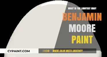 Discover Benjamin Moore's Lightest Gray Paint for Bright Spaces