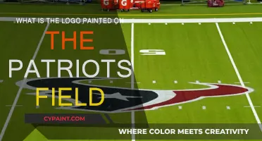 The Patriots' Logo: What's on the Field?