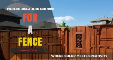 Durable Fence Painting: Which Finish Offers the Longest Protection?