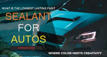Best Long-Lasting Paint Sealants for Cars: Top Tips and Tricks