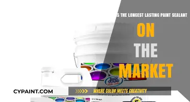 Unveiling the Ultimate Paint Sealant: A Comprehensive Guide to Long-Lasting Protection