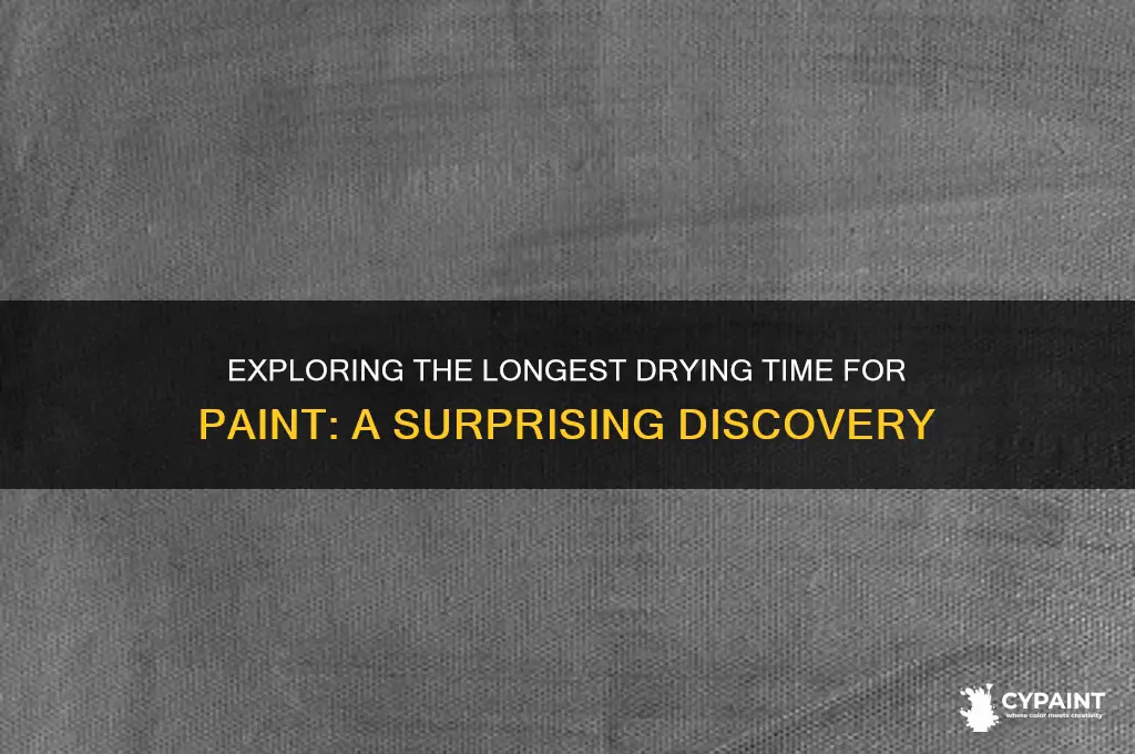 what is the longest time a paint took