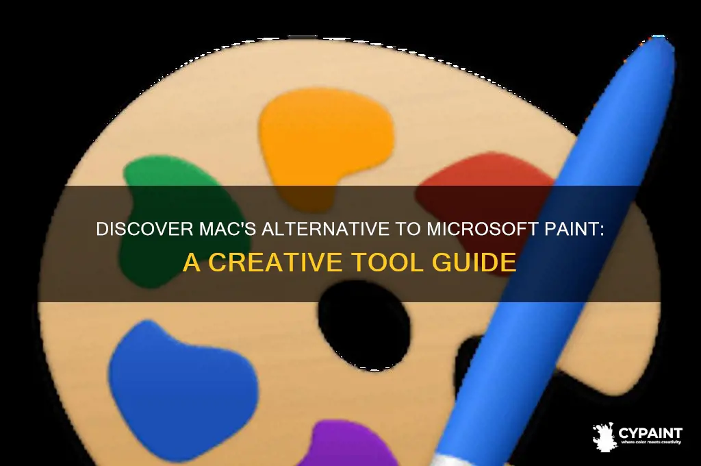 what is the mac version of microsoft paint