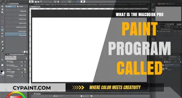 Discover the MacBook Pro's Built-In Painting App: A Creative Guide
