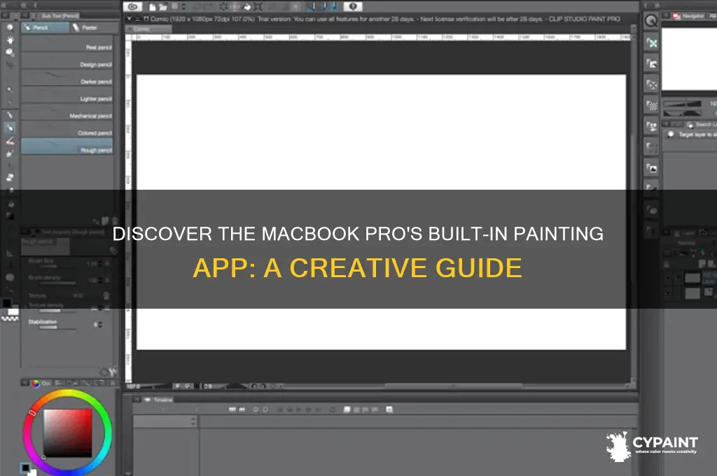 what is the macbook pro paint program called