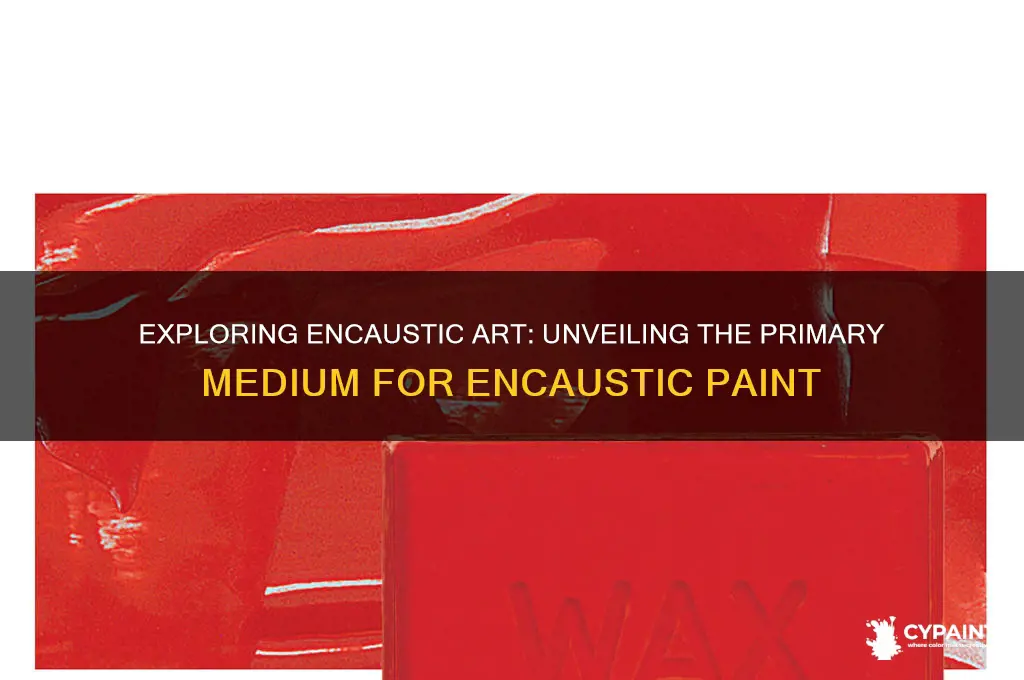 what is the main medium for encaustic paint