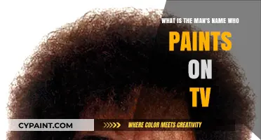 Unveiling the Artistic Genius Behind the TV Paintbrush