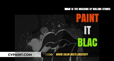 Unveiling the Mystery: The Profound Meaning Behind 'Paint It Black